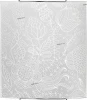 5758 Nowodvorski Blossom 5758