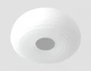 FC355L WH 30W D300 Потолочный светильник Ambrella Orbital Cloud FC355L WH 30W D300