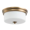 A1735PL-3SR Потолочный светильник круглый Arte Lamp Alonzo A1735PL-3SR (220V)