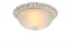 A7151PL-2WG Потолочный светильник Arte Lamp Torta A7151PL-2WG