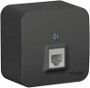 BLNIA011006 Телефонная розетка накладная RJ-11 (антрацит) Systeme Electric Blanca BLNIA011006