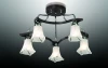 2237/5C Потолочная люстра Odeon Light Iwo 2237/5C