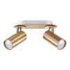 3876/2C Спот Odeon Light Corse 3876/2C