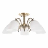 MR1521-5C Потолочная люстра MyFar Biene MR1521-5C (220V)