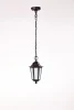 79805S Bl Уличный светильник подвесной Oasis Light 79805S Bl (220V, на цепи, IP44)