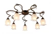 A7449PL-7BR Потолочная люстра Arte Lamp Glamore A7449PL-7BR