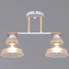 01630-0.3-02 WH+WOOD Потолочная люстра на штанге Reluce 01630-0.3-02 WH+WOOD