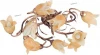 17560 Eurosvet Gloria 17560