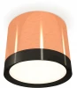 XS8122001 Накладной точечный светильник Ambrella Techno Spot XS8122001 (круглые)