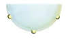 A3431AP-1GO Бра Arte Lamp Luna A3431AP-1GO
