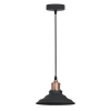 A5067SP-1BK Подвесной светильник Arte Lamp Lido A5067SP-1BK