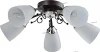 TC-400-105 WG Люстра потолочная Toscom Mary, 5 плафонов, венге с хромом и белым