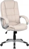 CHAIRMAN CH667 Компьютерное кресло CHAIRMAN CH667 (Пластик,Велюр/Бежевый)