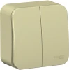 BLNVA105017 Выключатель накладной двухклавишный (бежевый) Systeme Electric Blanca BLNVA105017