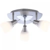 57900-3 Спот Globo PALLAS 57900-3