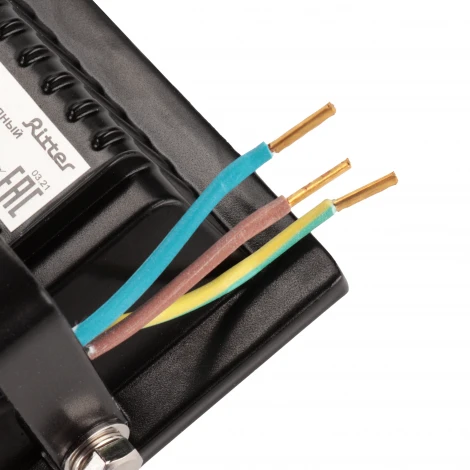 Прожектор уличный светодиодный Ritter PROFI 53426 0