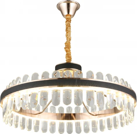 Подвесная люстра Aployt Honori APL.027.03.102 (LED, 220V, на цепи, кольцо)