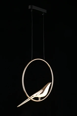 Подвесной светильник Aployt Astor APL.822.06.10 (LED, 220V, на тросе, кольцо, птички)