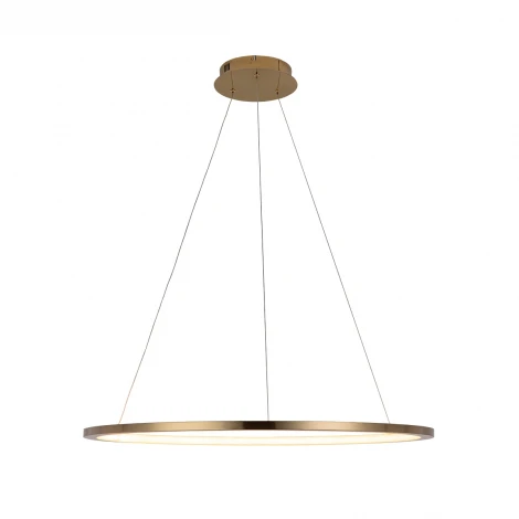 Подвесной светильник Loft IT Ring 10014L (LED, 220V, на тросе, кольцо)