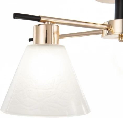 Потолочная люстра на штанге Arte Milano Napoli 322119/3 FG+BK (220V)