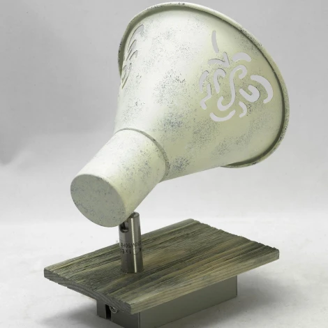 Спот Lussole Lgo Mcconnico LSP-8058 (220V, круглые, IP21)