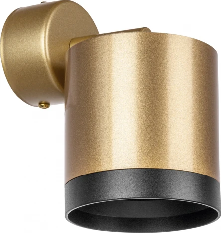 Спот Lightstar Rullo RBX34903487 (220V)