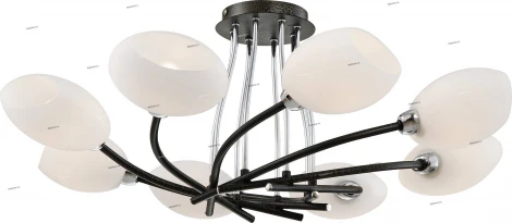 Snowlight 2300021 23-021-08CL