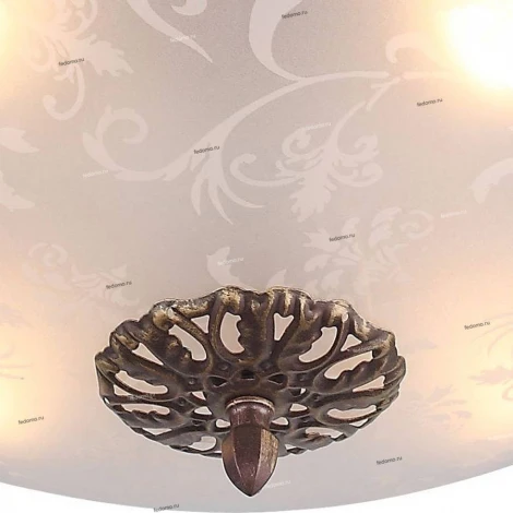 Потолочный светильник ST Luce Mezzo SL244.202.04
