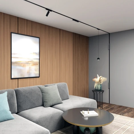 Трековый светильник магнитный 48V Denkirs Air Spot DK5341-BK (LED, круглые)