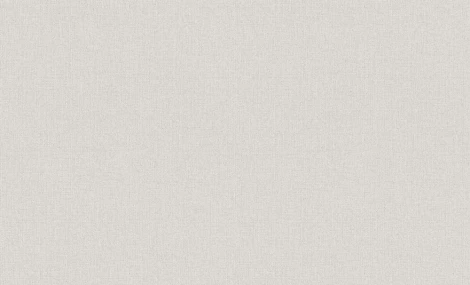 Обои виниловые Erismann Bolero 60062-03 10,05 x 1,06 м