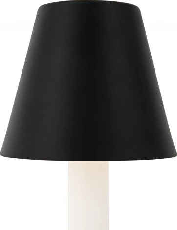 Интерьерная настольная лампа Maytoni Tet-a-tet MOD104TL-3AB3K (LED, выключатель)