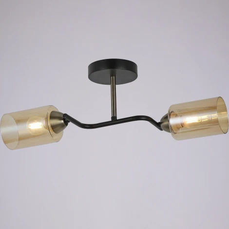 Потолочная люстра на штанге ILLUMICO IL8148-2COU-79 BK BR Bice (220V)