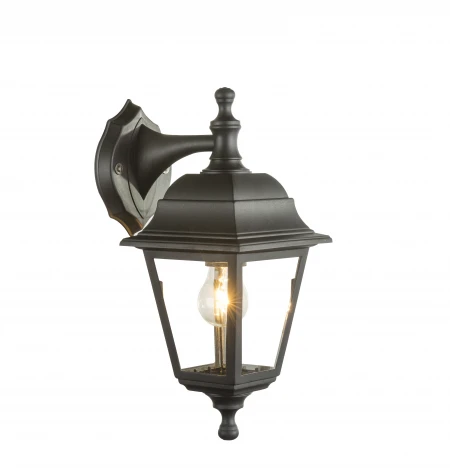 Настенный фонарь уличный Globo Luca 31886