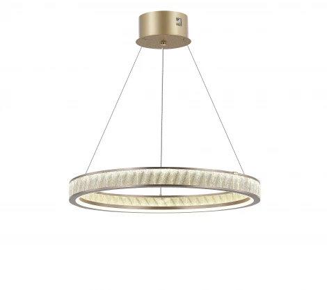 Подвесной светильник LED MyFar Willem MR2540-1PL кольцо