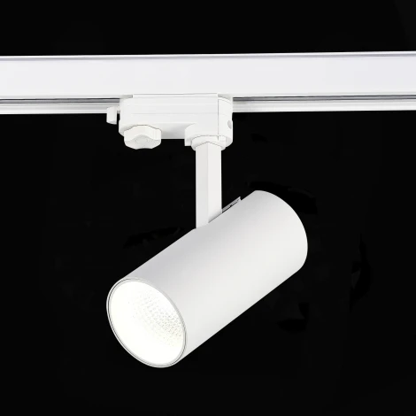 Трековый светильник трехфазный 220V ST Luce ST661 ST661.546.20 (LED, круглые)