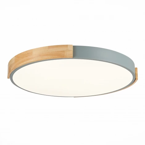 Потолочный светильник Evoluce Delia SLE201372-01