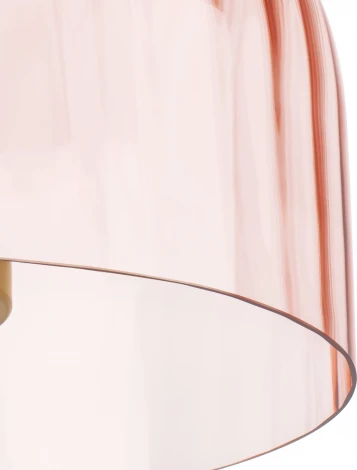 Потолочный светильник круглый светодиодный Lightstar Celesta 809062 (220V, круглые)