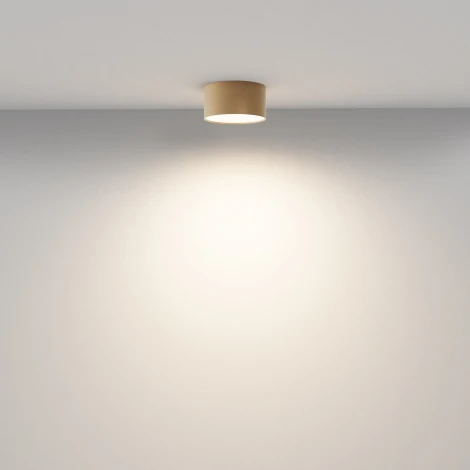 Потолочный светильник круглый Maytoni Zon C032CL-12W3K-RD-MG (LED, 220V, круглые)