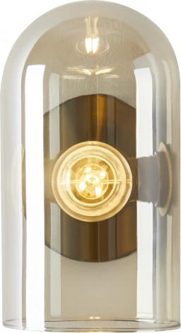 Бра Freya Firefly FR5427WL-01BS (220V)