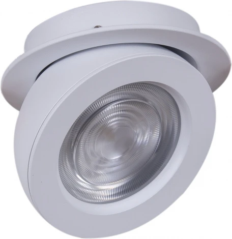 Встраиваемый спот светодиодный Reluce 84053-9.0-001QR COB10W WT (220V)