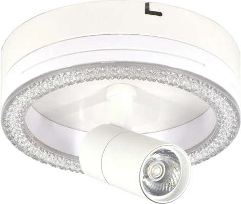 Настенно-потолочный светодиодный светильник Escada 20044LED 20044SMA/01LED WH 20Вт, металл/акрил, белый