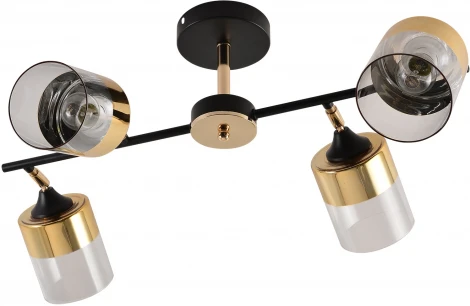 Потолочная люстра на штанге Reluce 01555-3.3-04B BK+FGD (220V)