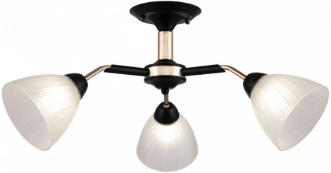 Потолочная люстра на штанге Arte Milano Napoli 324108/3 BK+FG (220V)