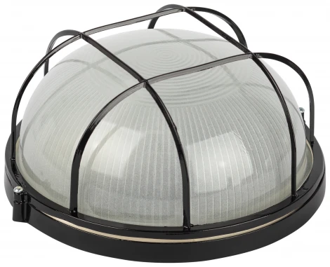 Настенно-потолочный светильник ЭРА НБП 03-100-002 в инд. упаковке НБП 03-100-002 черный