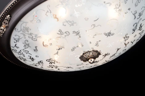 Потолочный светильник Maytoni Diametrik C907-CL-06-R