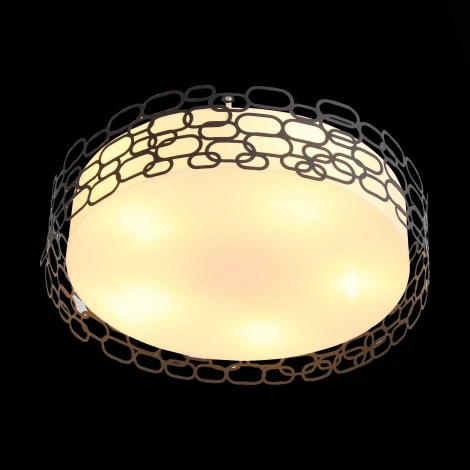 Потолочный светильник ST Luce Ciatura SL304.402.05