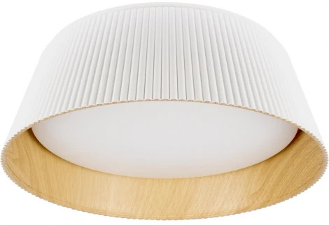 Потолочный светильник круглый светодиодный Loft It Evans 10224 White (220V, круглые)