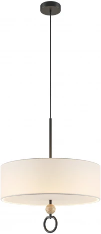 Подвесной светильник Maytoni Glamping MOD437PL-05B (220V, на проводе, круглые)