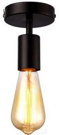Потолочный светильник Arte Lamp Fuori A9184PL-1BK