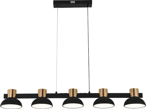 Подвесной светильник (11059/5PL Black) Indigo Traforo V000184L (регулировка яркости, LED, 220V, пульт управления, на тросе)